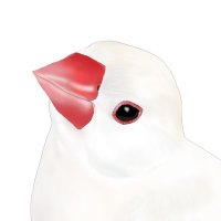 小鳥遊ととり　占い動画YouTube公開中 (@hg5gdekwwcjem2a) Twitter profile photo