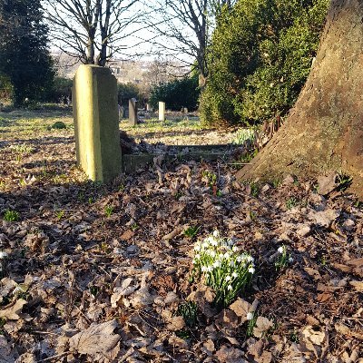 Join me on a walk through Radnor Street Cemetery and meet the people who built Swindon.