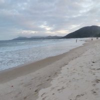 duong quang ❤️ Memecoin (@duongqu306) 's Twitter Profile