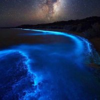 💢HüƧΣYiП 🇹🇷 BiПBӨĞΛ💢 (@hbinboga) Twitter profile photo