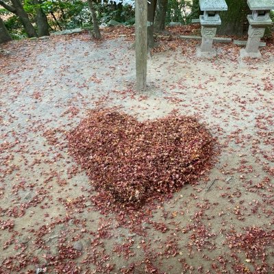 -真天地開闢集団-ジグザグ⛩️ベレボ♡ 2023 5月〜の新参者ですがよろしくお願いします🥺11/5愛媛禊🍊WANDS Neo🐶無言フォロー失礼いたします🙇‍♀️