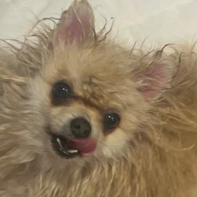 maddy_mcardle's profile picture. 