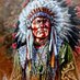 Native Americans (@The_Native_0) Twitter profile photo