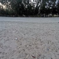 diy ho ❤️ Memecoin (@diyho19) 's Twitter Profile