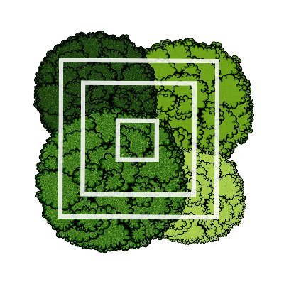 There's nothing more dangerous than an italian research network focused on Multitaxon Forest Monitoring!
🌱🌿🍄🐦🦇🪲
Let's go!