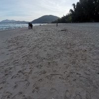 cang hiynh ❤️ Memecoin (@canghiynh) 's Twitter Profile