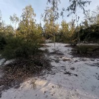 ngan huynh ❤️ Memecoin (@nganhuy12) 's Twitter Profile