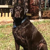 Newt Campbell-CoPay (@f3copay) 's Twitter Profile