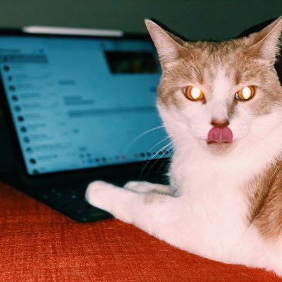 woodney_dev's profile picture. 퇴근시켜줘