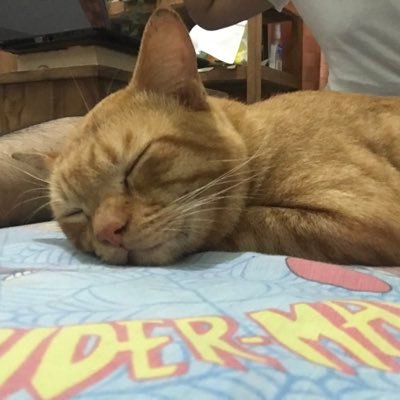 mhmdfadli_'s profile picture. kalau bisa marah kenapa harus bersabar