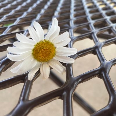 Sunnygirl696's profile picture. bi 🌈 I’m a very bad girl that loves to be punished 😈