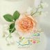 خديجة سالم (@kdyjslm5) Twitter profile photo خديجة سالم (@kdyjslm5) Twitter profile photo