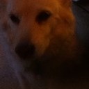 jasmine johnstone - @TanronJasmine - Twitter