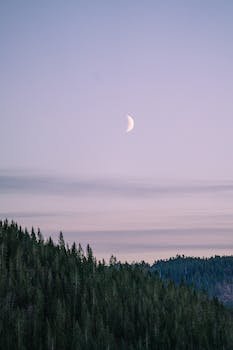 k_avkash's profile picture. 