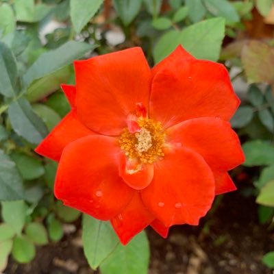 Justmine35's profile picture. Laughter is the best prozac. :)