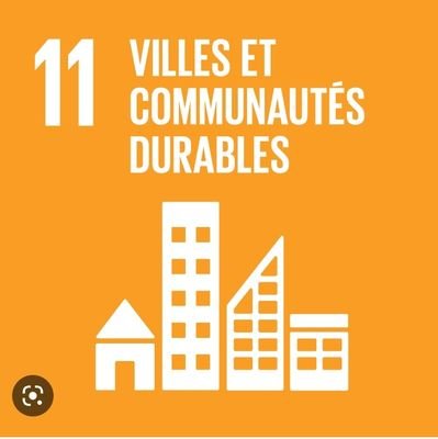 NyamsiFlora's profile picture. Assistante projet, Volontaire humanitaire, Enquêtrice de terrain, Agent Sensibilisateur,  WASH, Refugees and IDPs interest , Solidarité Internationale.