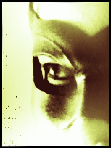 valyvaly's profile picture. non ho ancora trovato la mia giusta ubicazione. 
non so neanche se abbia voglia di trovarla.