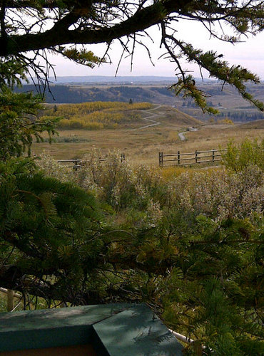 Ocean-loving, land-locked prairie girl. Intergenerational Facilitator.