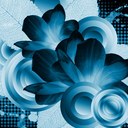 Toni steele - @tonijanesteele - Twitter