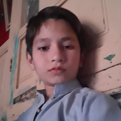 shahabu61039237's profile picture. 