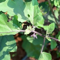 guyd (@guyd4970) 's Twitter Profile