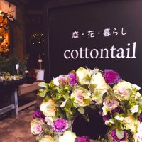 🍃庭・花・暮らし💐 cottontail -コットンテイル-湘南 藤沢本町(@cottontail_kura) 's Twitter Profile Photo