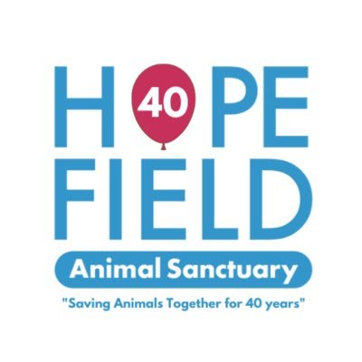 Hopefield sits on 53 acres of beautiful countryside in the heart of Brentwood Essex and cares for over 600 sick, unwanted and mistreated animals 🐾🌱