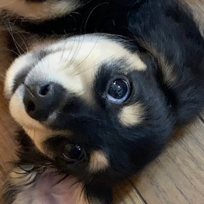 raisukekun (@raisukekun) / Posts / X