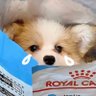 yooocookie's profile picture. 항상 백현이편🥰BAEKHYUN