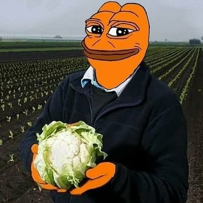 GobiAddict's profile picture. 