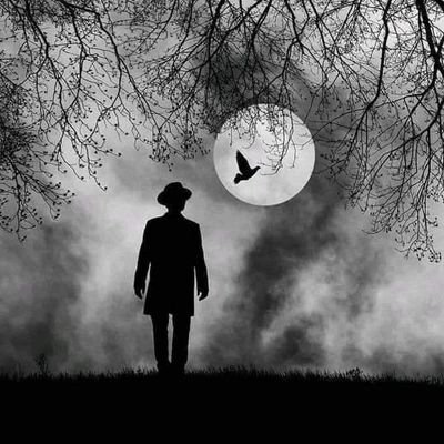 oc6co500's profile picture. .....