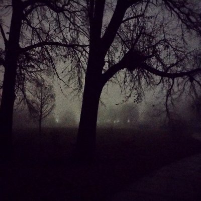 dnyi's profile picture. 