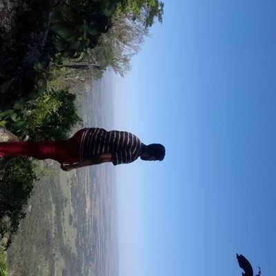 viaja y disfruta