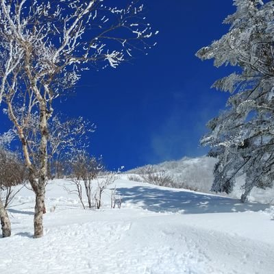 年齢を重ねてきたら自然や山に癒されるようになってきたな〰️😆
体力の衰えを感じ足腰を鍛える意味で登山を復活(低山多めだけど…)無言フォロー、いいね失礼します🙇