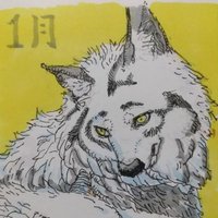 ケンピ(@kenpi208) 's Twitter Profile Photo
