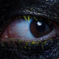 ミツキ #120D (@1984stereo) 's Twitter Profile Photo