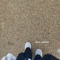 Tamy (@tamy_bulkher) 's Twitter Profile