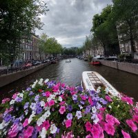 Hüsrev Eltunç (@analitikbakin) 's Twitter Profile