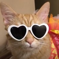 Mais (@maisangel) 's Twitter Profile