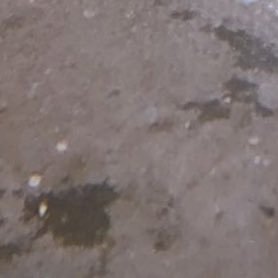 llYnicll's profile picture. 