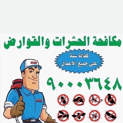 افضل شركة مكافحة حشرات الكويت كفاله سنه علي جميع الأعمال جميع مناطق الكويت