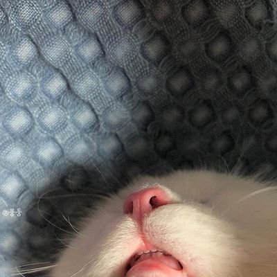 CU_TheEnd's profile picture. 