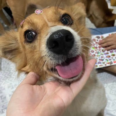 saysploy's profile picture. 🍭🍬🍰🍧🧃。