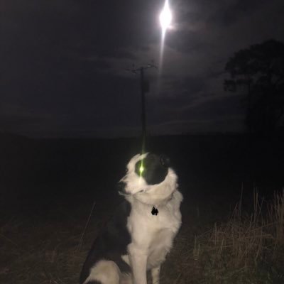 strangernumbor1's profile picture. 