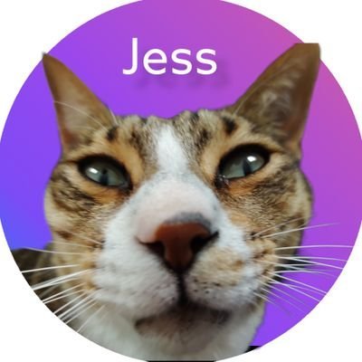 JessBlockchain Profile Picture