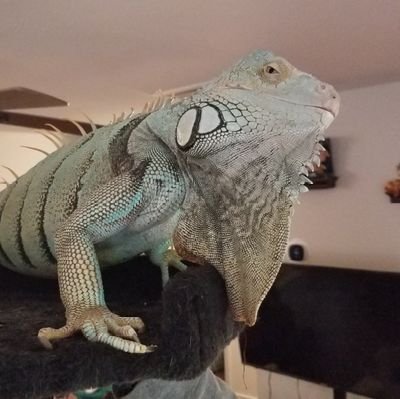 HowNasty's profile picture. 