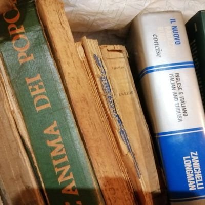 dasso_angelo's profile picture. 