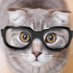 Guillemette Normand (@guino1102) Twitter profile photo Guillemette Normand (@guino1102) Twitter profile photo