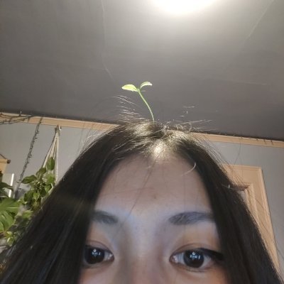 dirt_nymph Profile Picture