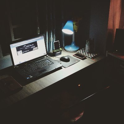 MaksProgrammer's profile picture. 23-year-old law student and programmer
